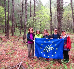 LIFE+ PINASSA – Sustainable management for conservation of Black pine forests in Catalonia 