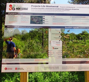 LIFE MONTSERRAT Integrated silvopastoral management plan: An innovative tool to preserve biodiversity and prevent wildfires