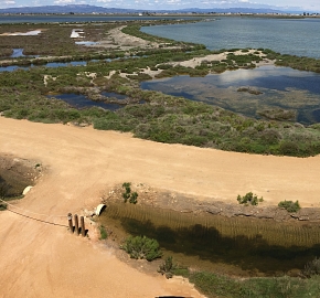LIFE MIGRATOEBRE Migratory fish recovery and improved management in the final stretch of the Ebre River